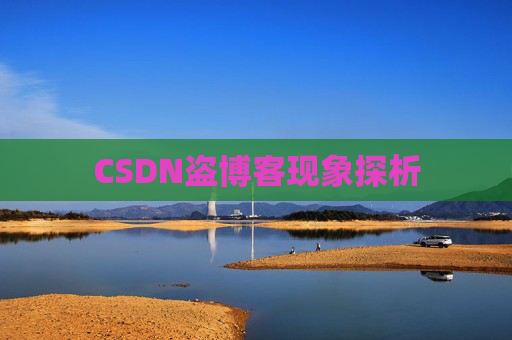 CSDN盗博客现象探析 CSDN盗博客现象探析